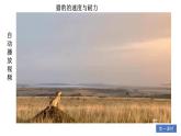 部編版小學語文五年級上冊第二單元7《什么比獵豹的速度更快》課件（2課時）+教案（2課時）+課文朗讀（音頻）