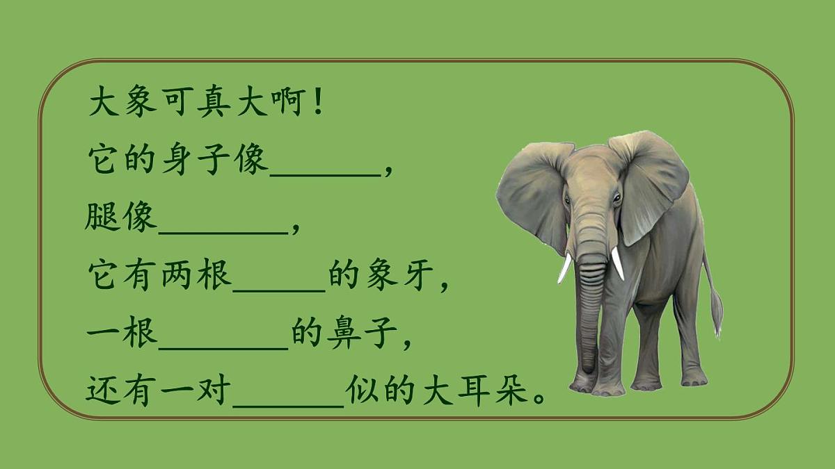 新统编版小学语文二下 课文6 19《大象的耳朵》课件第2页