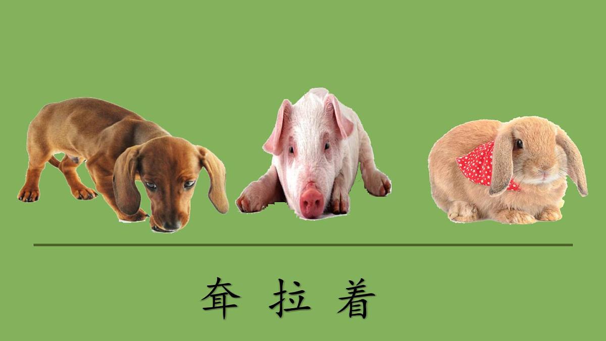 新统编版小学语文二下 课文6 19《大象的耳朵》课件第3页