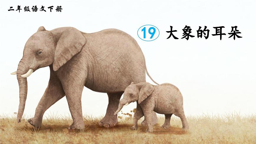 新统编版小学语文二下 课文6 19《大象的耳朵》课件（第一课时）第3页