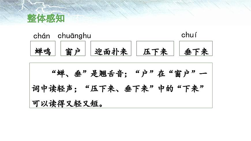 新统编版小学语文二下 课文5 16《雷雨》 课件（第一课时）第5页