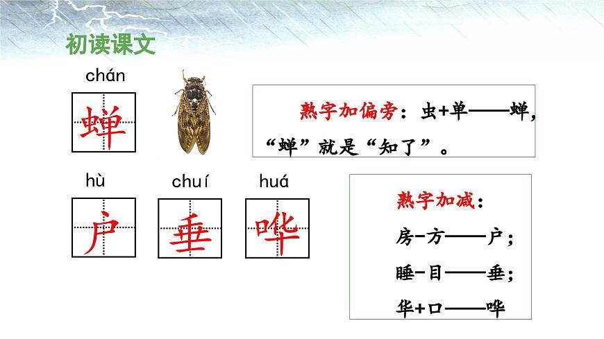 新统编版小学语文二下 课文5 16《雷雨》 课件（第一课时）第6页