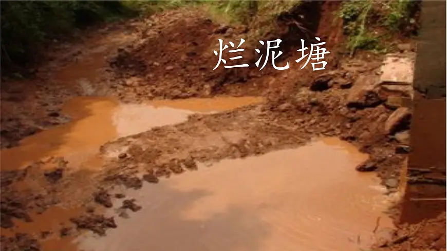 新统编版小学语文二下 课文6 21《青蛙卖泥塘》课件第6页