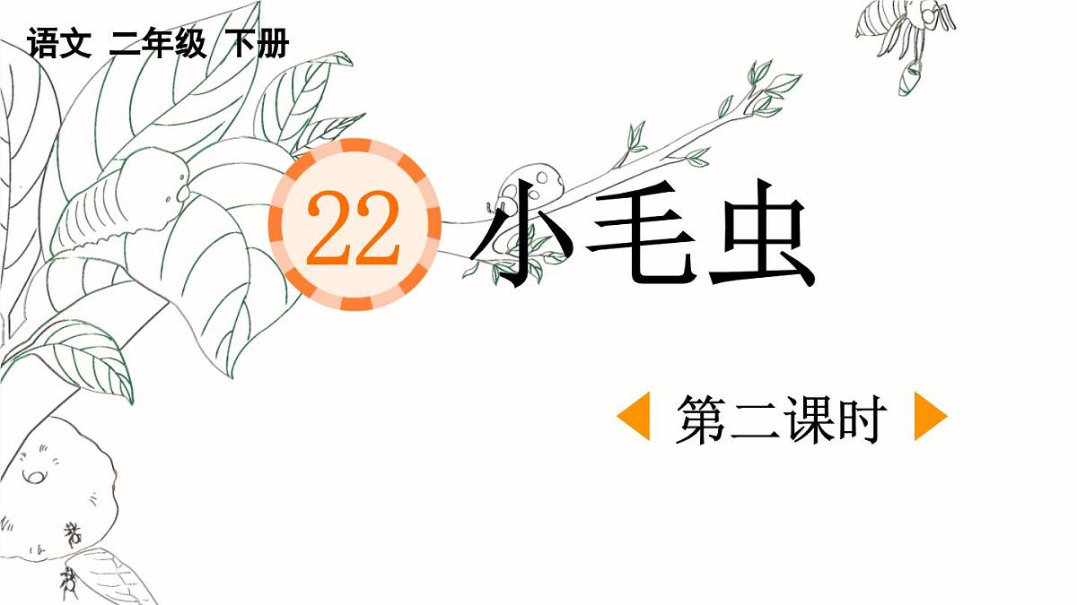 新统编版小学语文二下 课文6 22《小毛虫》课件（第二课时）第1页
