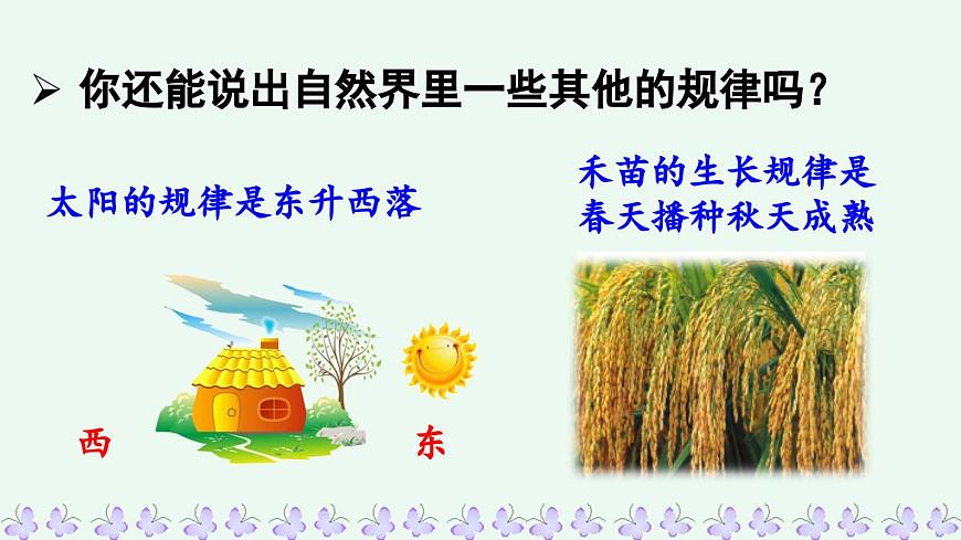 新统编版小学语文二下 课文6 22《小毛虫》课件（第二课时）第8页