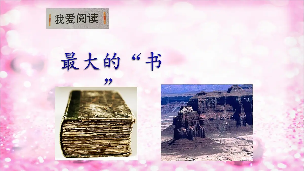 新统编版小学语文二下 课文2 语文园地二《我爱阅读》课件第2页