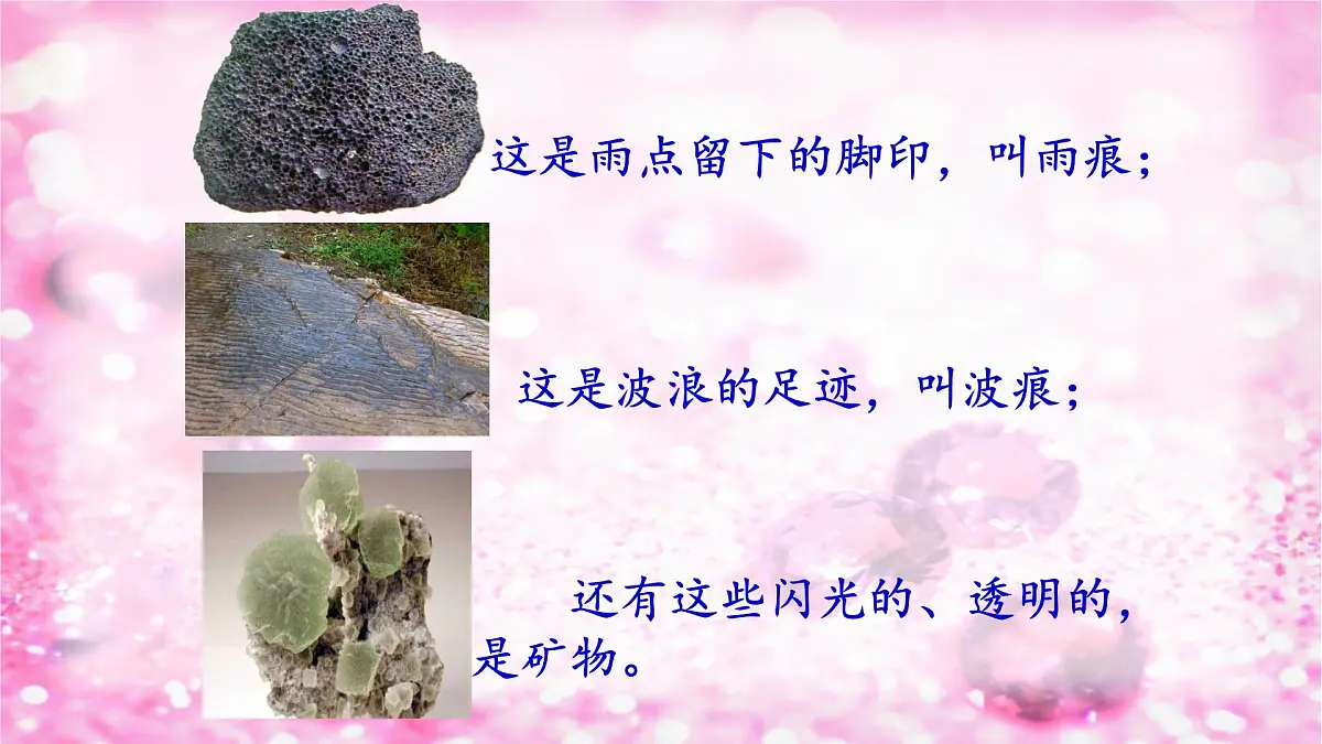 新统编版小学语文二下 课文2 语文园地二《我爱阅读》课件第4页