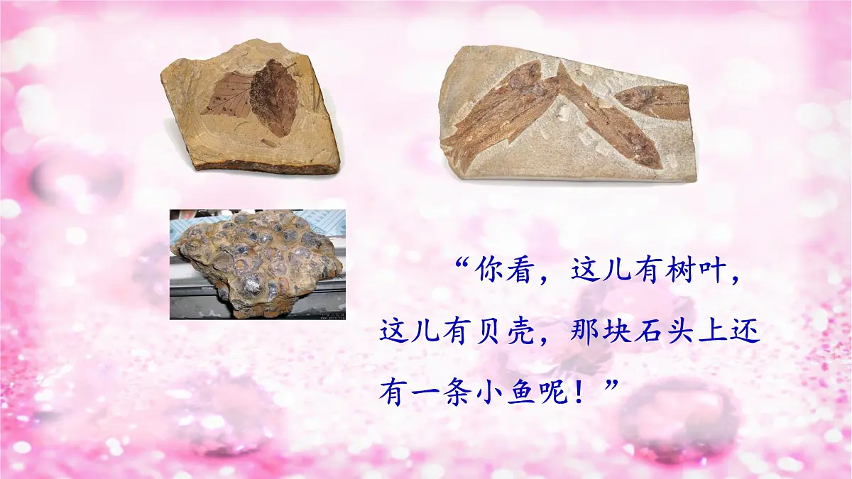 新统编版小学语文二下 课文2 语文园地二《我爱阅读》课件第6页