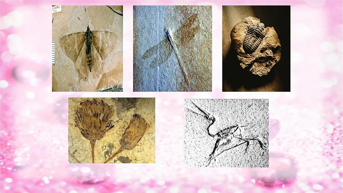 新统编版小学语文二下 课文2 语文园地二《我爱阅读》课件第7页