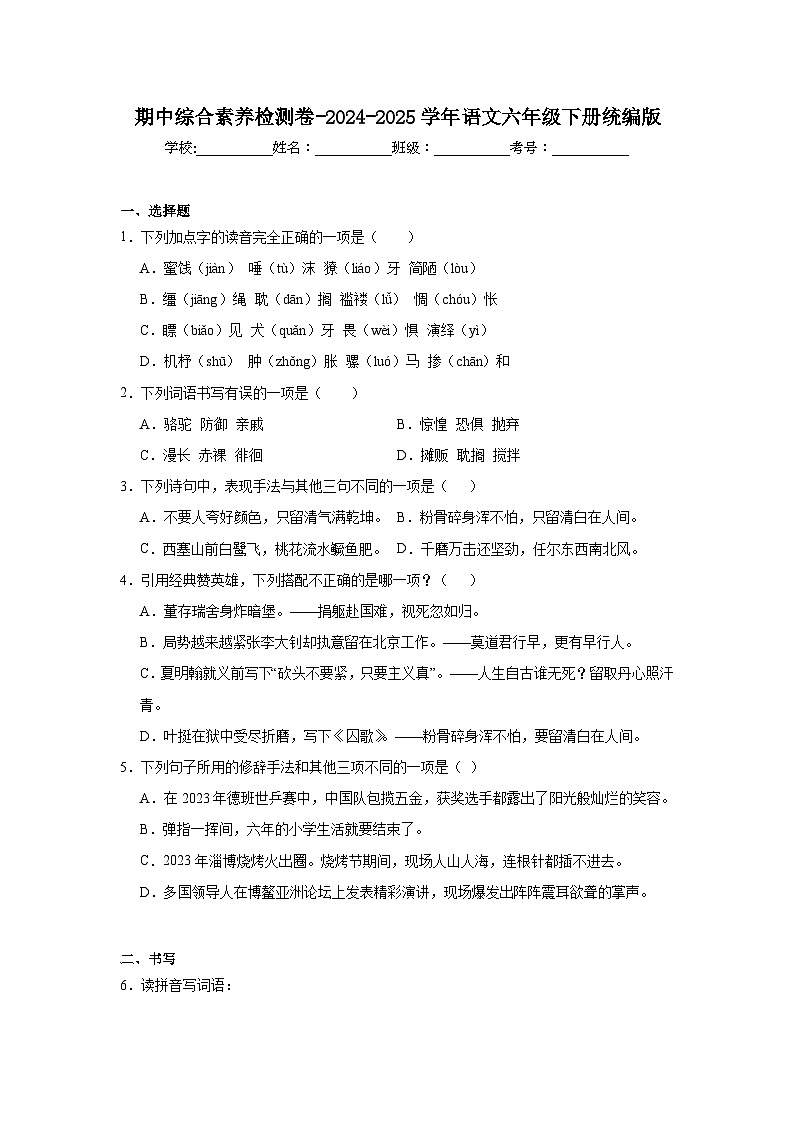 期中综合素养检测卷-2024-2025学年语文六年级下册统编版第1页