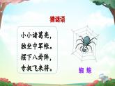 新统编版小学语文二下 课文6  20《蜘蛛开店》课件（第一课时）
