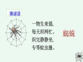 新统编版小学语文二下 课文6  20《蜘蛛开店》课件（第一课时）
