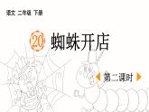 新统编版小学语文二下 课文6  20《蜘蛛开店》课件（第二课时）
