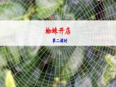 新统编版小学语文二下 课文6  20《蜘蛛开店》 课件（第二课时）