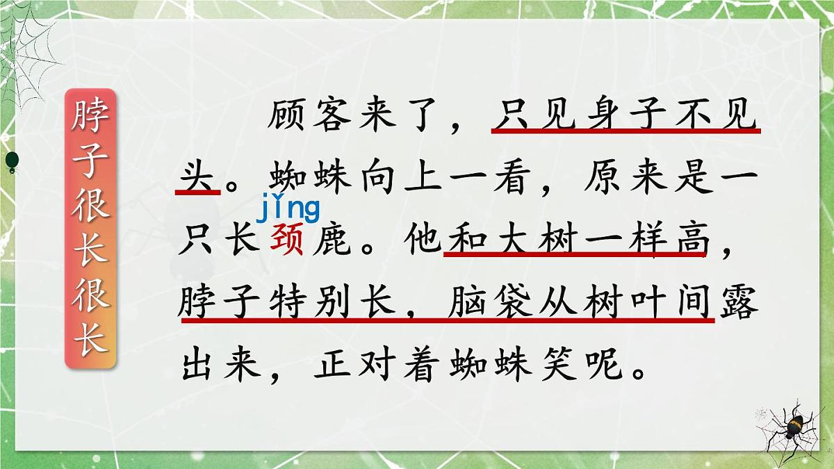 新统编版小学语文二下 课文6  20《蜘蛛开店》教学课件（第二课时）第6页