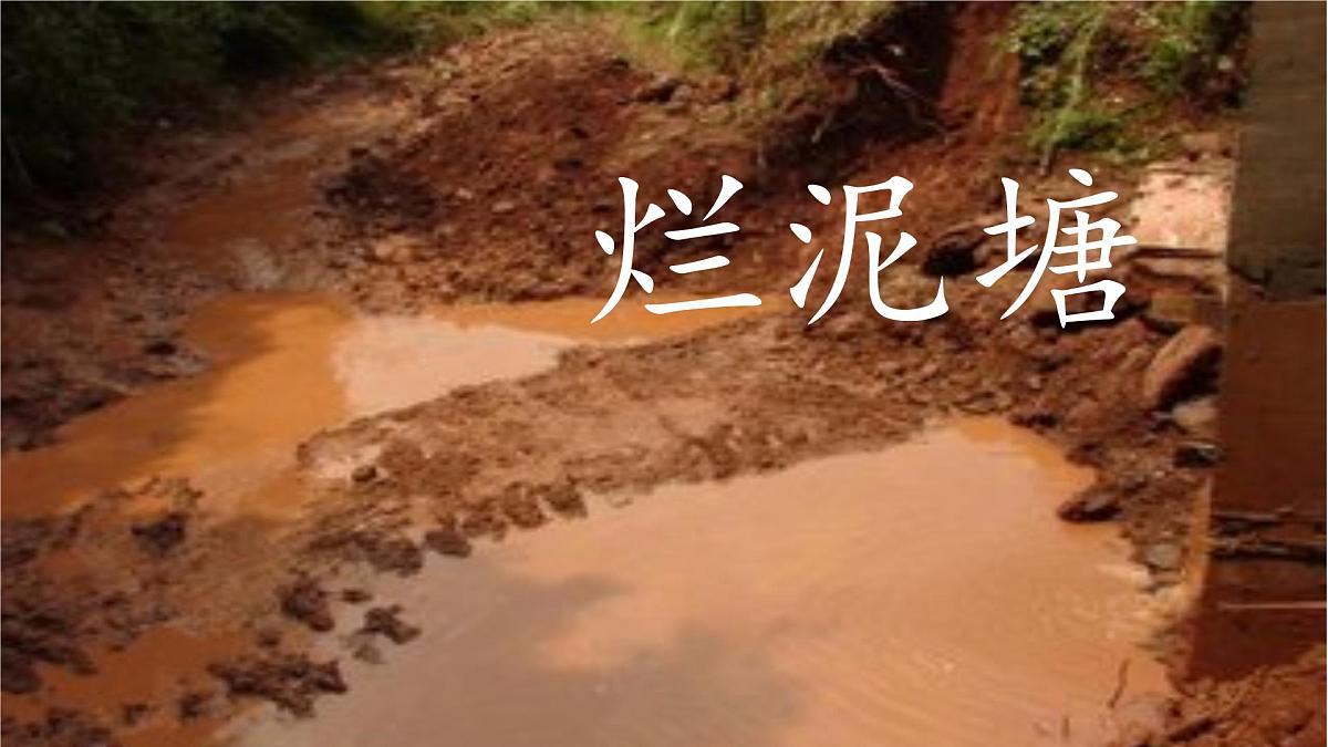 新统编版小学语文二下 课文6  21《青蛙卖泥塘》课件第4页