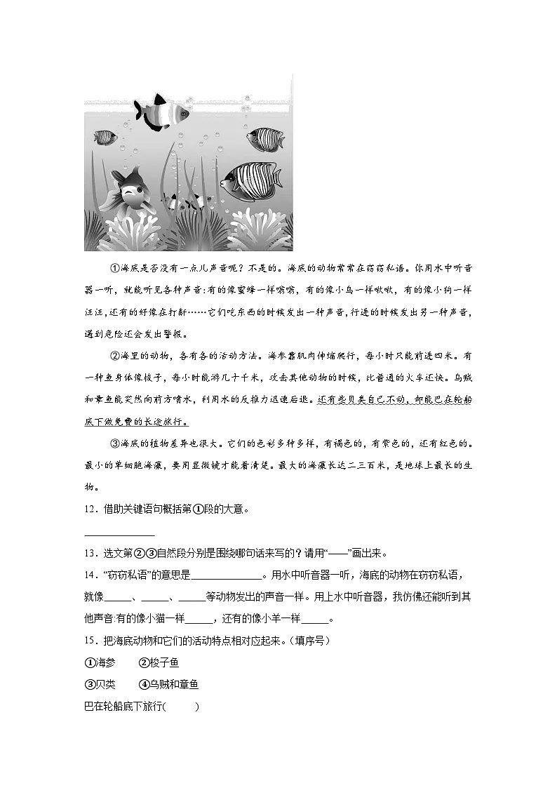 23.海底世界提升练习 统编版语文三年级下册第3页