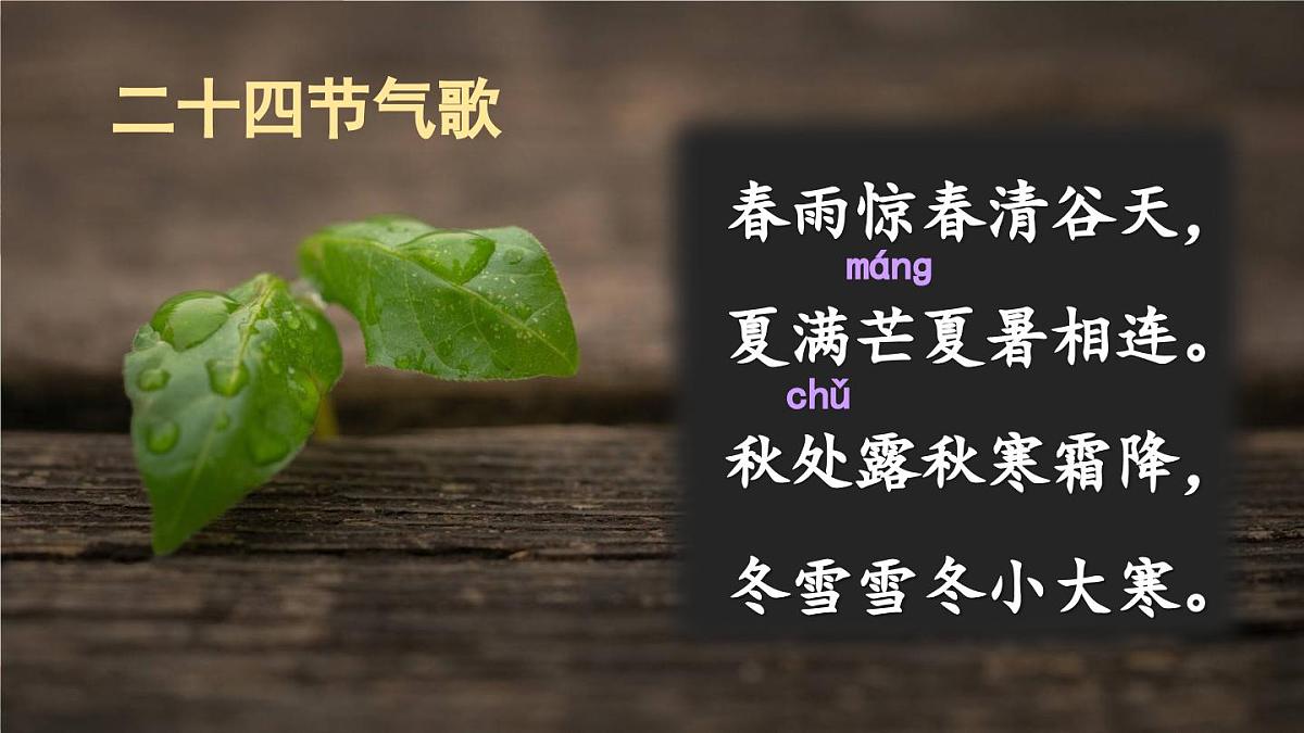 新统编版语文二下 课文6《语文园地七》课件（第三课时）第3页