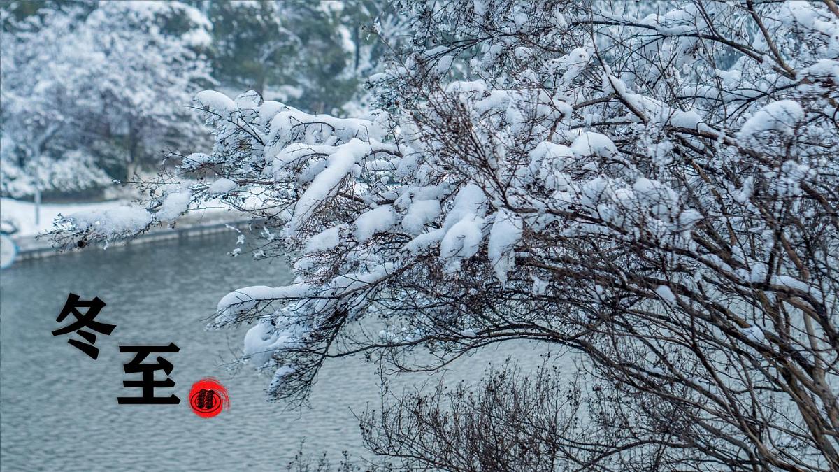 新统编版语文二下 课文6《语文园地七》课件（第三课时）第5页