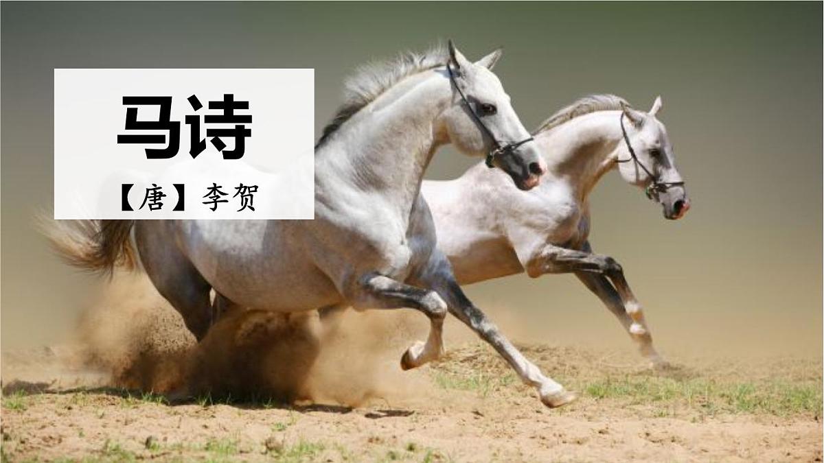 统编版（2024）六年级语文下册10古诗三首-马诗课件ppt第1页