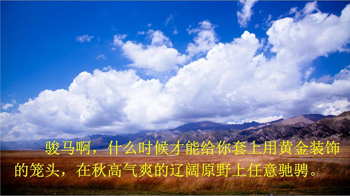 统编版（2024）六年级语文下学期10古诗三首-马诗ppt课件第6页