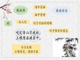 統(tǒng)編版（2024）六年級語文下冊10古詩三首-竹石課件