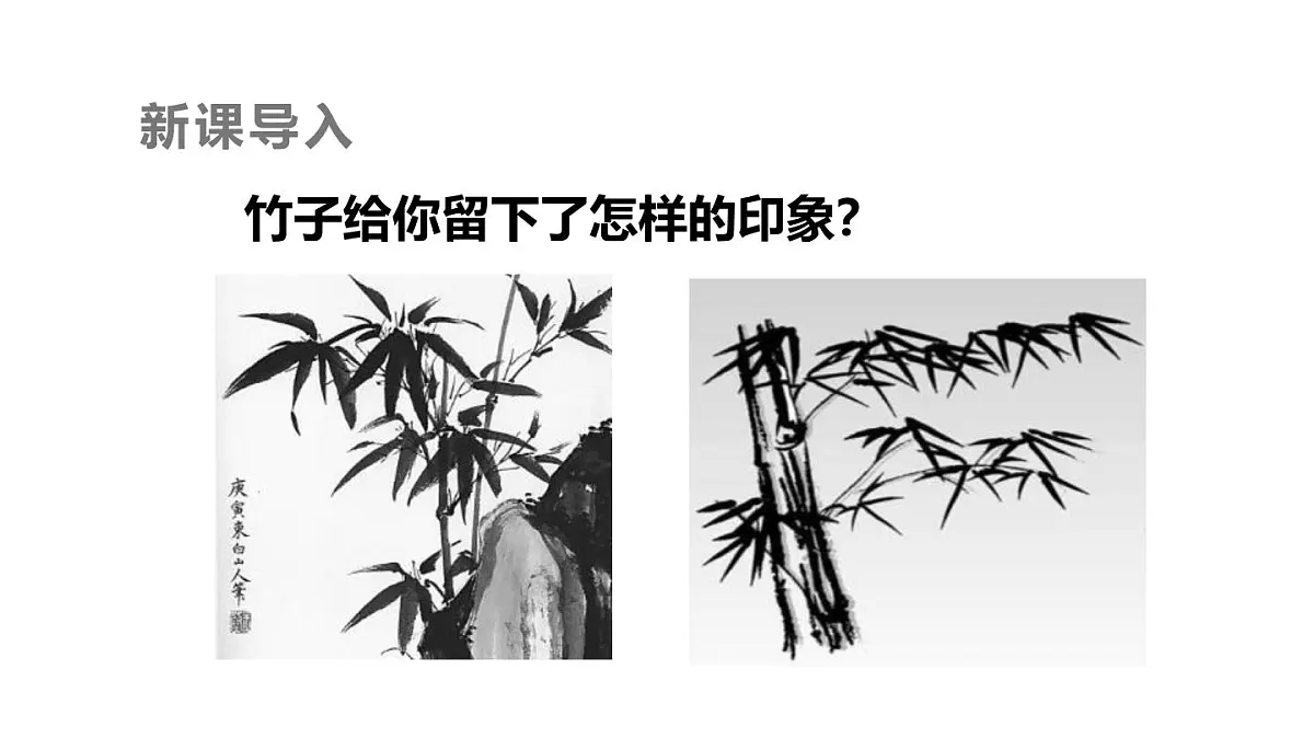 统编版（2024）六年级语文下学期10古诗三首-竹石ppt课件第2页
