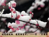 (部編版)小學(xué)語(yǔ)文四年級(jí)下冊(cè)第22課古詩(shī)三首《墨梅》課件