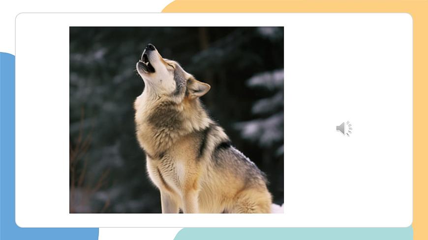 动物王国开大会（第1课时）第5页