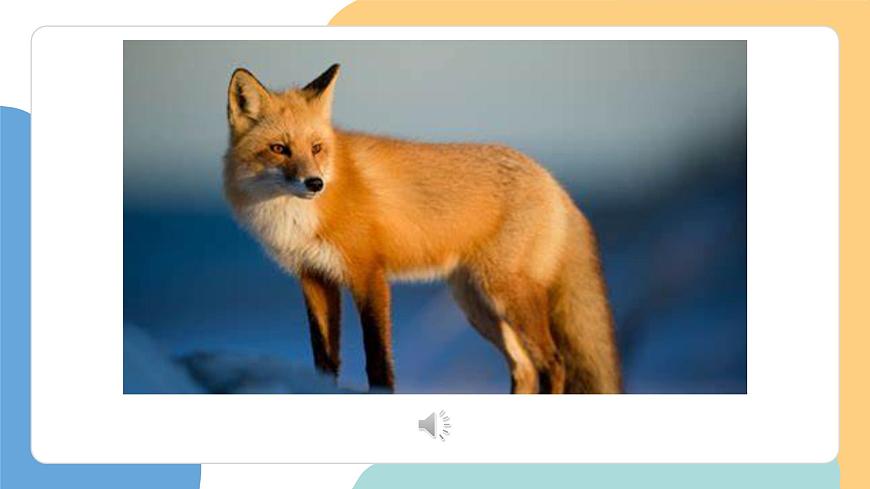 动物王国开大会（第1课时）第6页