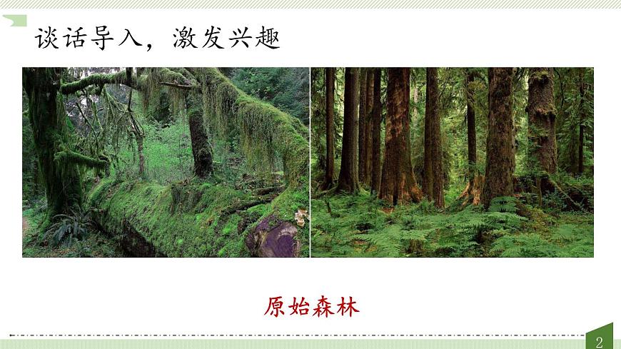 新人教统编小学语文二下 课文7 23《祖先的摇篮》教学课件（第一课时）第2页