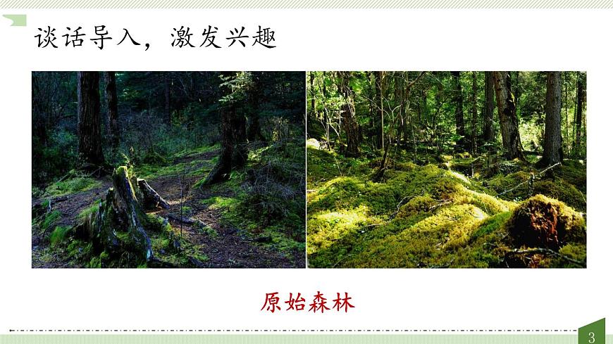 新人教统编小学语文二下 课文7 23《祖先的摇篮》教学课件（第一课时）第3页