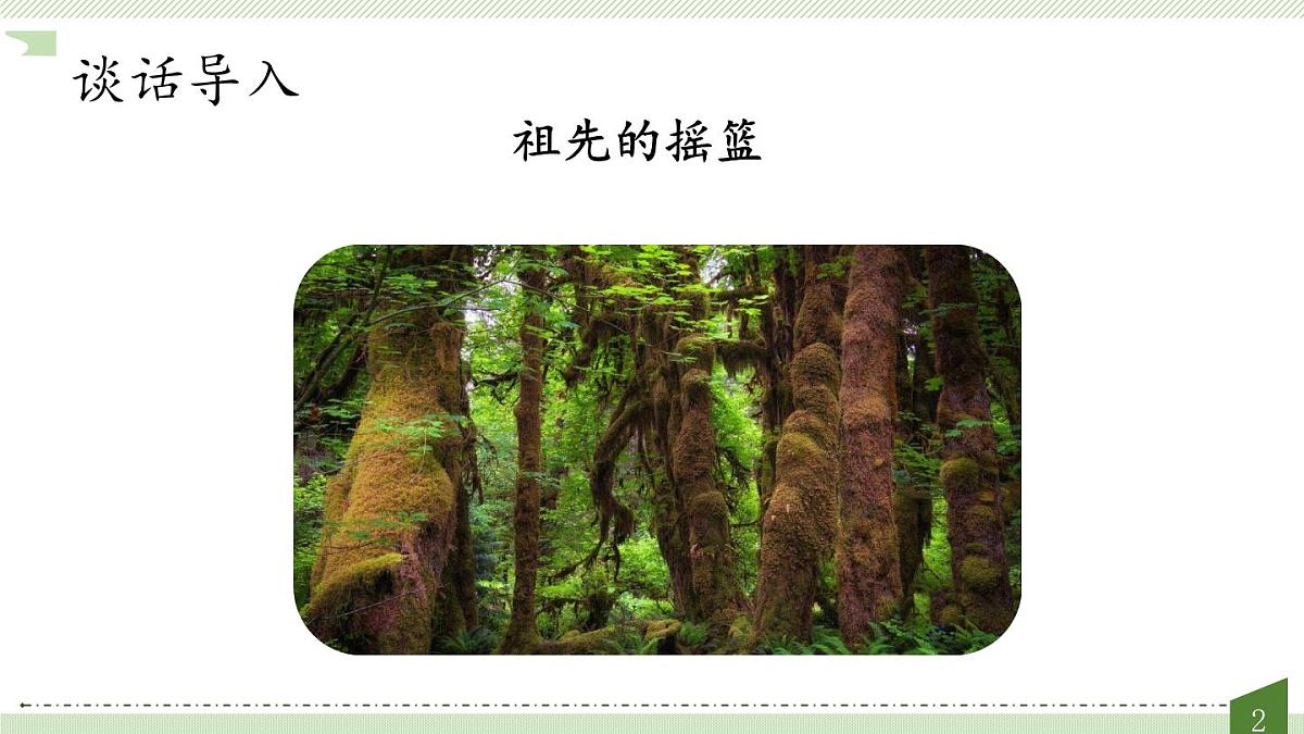 新人教统编小学语文二下 课文7 23《祖先的摇篮》教学课件（第二课时）第2页