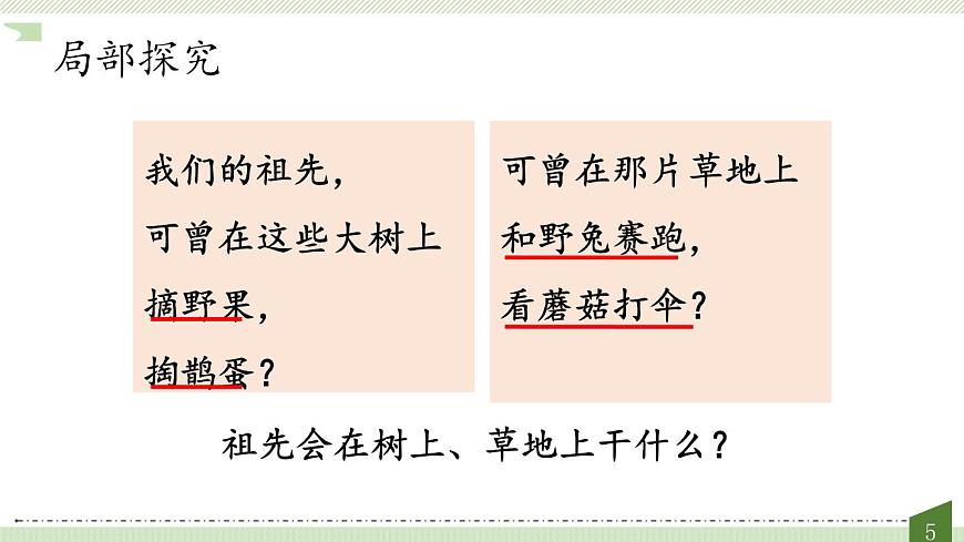 新人教统编小学语文二下 课文7 23《祖先的摇篮》教学课件（第二课时）第5页