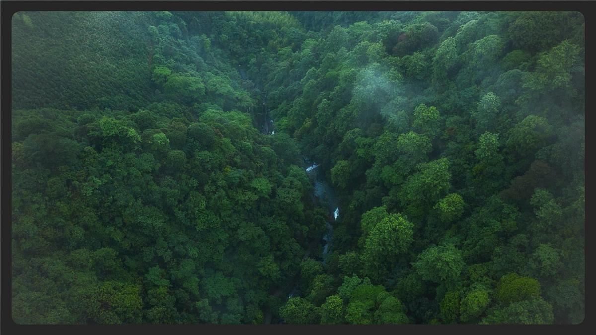 新人教统编小学语文二下 课文7 23《祖先的摇篮》课件（第二课时）第5页