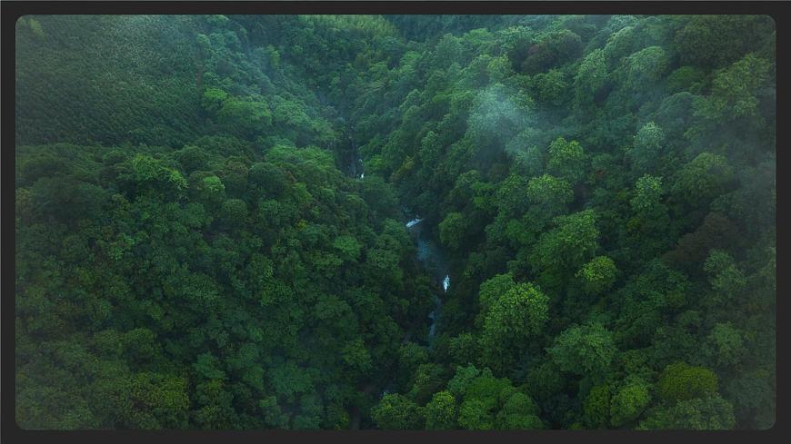 新人教统编小学语文二下 课文7 23《祖先的摇篮》课件（第二课时）第5页
