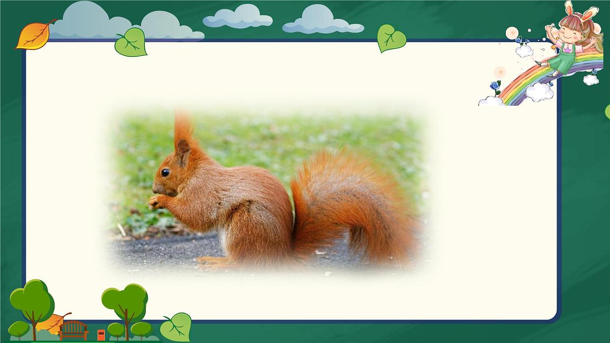 新人教统编小学语文二下 课文7 23《祖先的摇篮》课件第2页