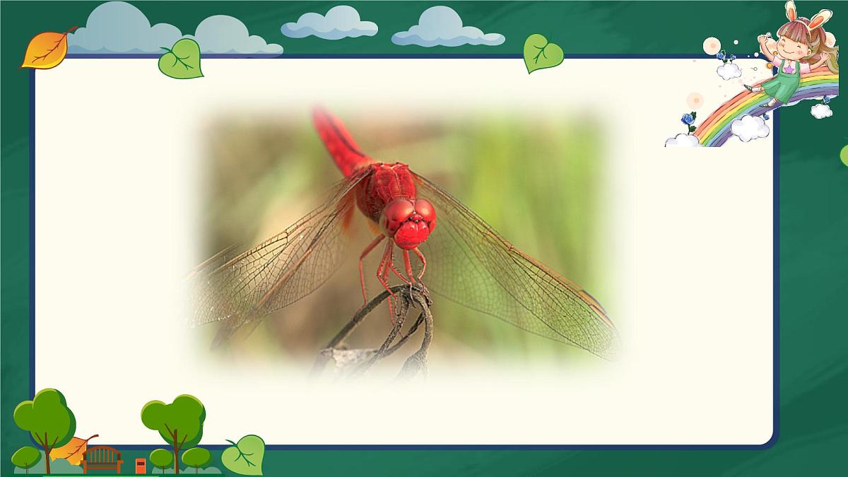 新人教统编小学语文二下 课文7 23《祖先的摇篮》课件第3页