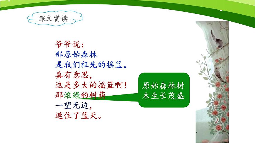 新人教统编小学语文二下 课文7 23《祖先的摇篮》课件（第二课时）第6页