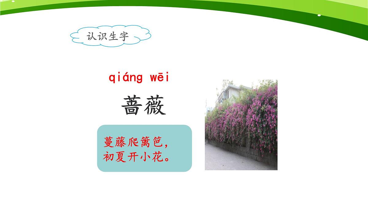 新人教统编小学语文二下 课文7 23《祖先的摇篮》课件（第一课时）第5页