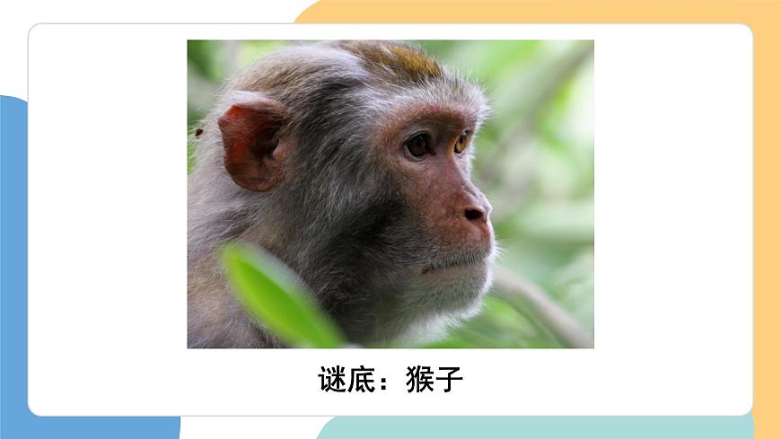 小猴子下山（第1课时）第5页