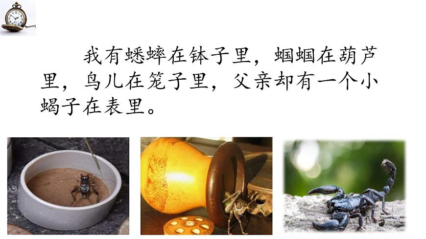 新统编版小学语文六下 5-16《表里的生物》学习任务群教学课件-课例1第2页