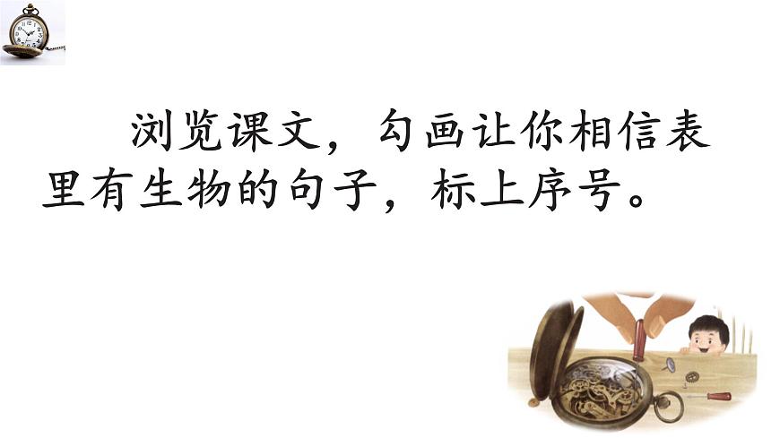 新统编版小学语文六下 5-16《表里的生物》学习任务群教学课件-课例1第4页