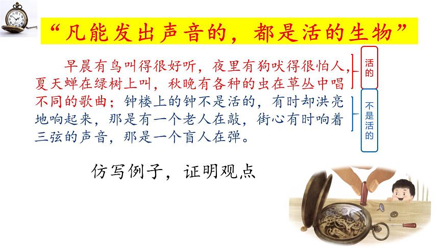 新统编版小学语文六下 5-16《表里的生物》学习任务群教学课件-课例1第8页