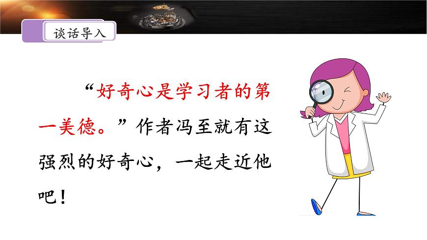 新统编版小学语文六下 5-16《表里的生物》课件（第二课时）第2页