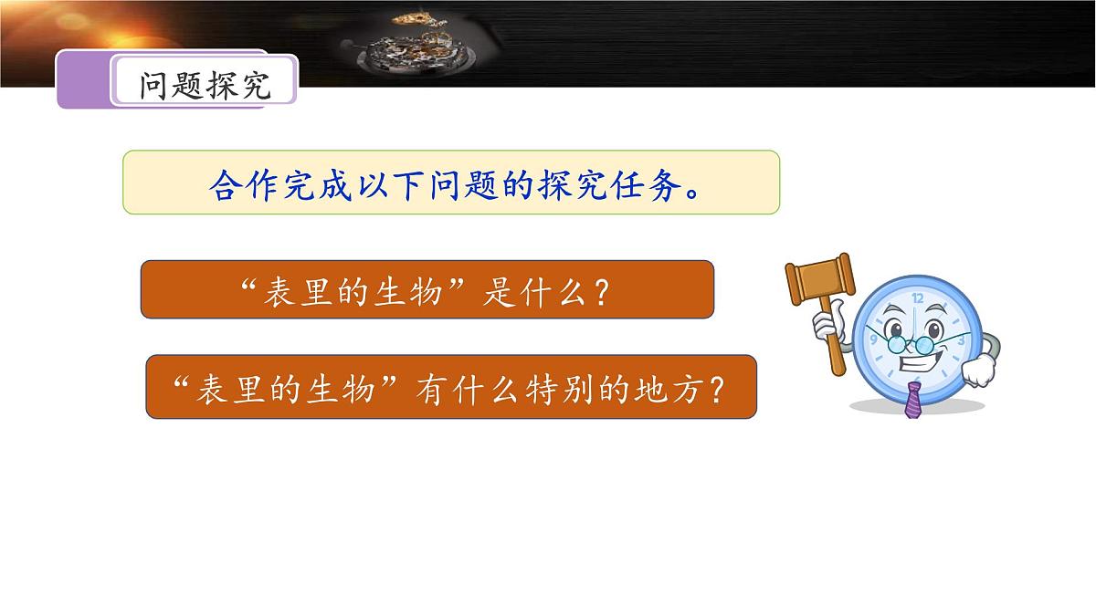 新统编版小学语文六下 5-16《表里的生物》课件（第二课时）第4页
