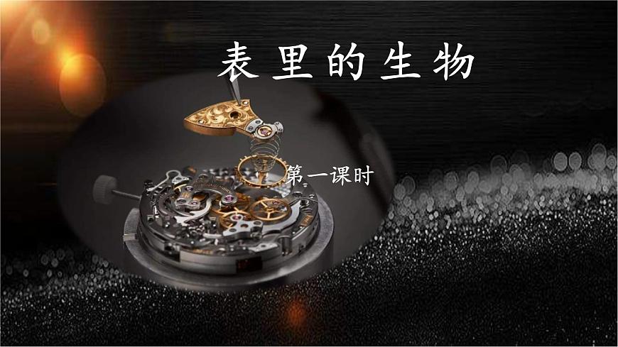 新统编版小学语文六下 5-16《表里的生物》课件（第一课时）第1页