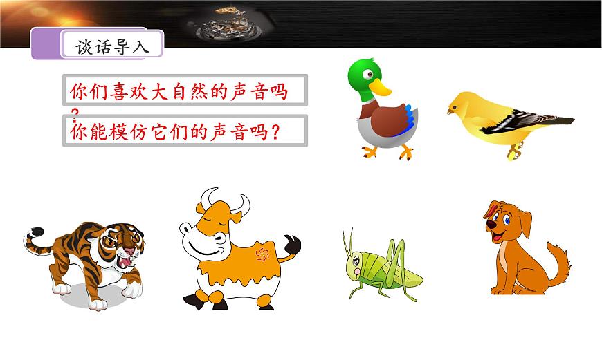 新统编版小学语文六下 5-16《表里的生物》课件（第一课时）第3页