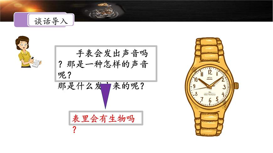 新统编版小学语文六下 5-16《表里的生物》课件（第一课时）第4页