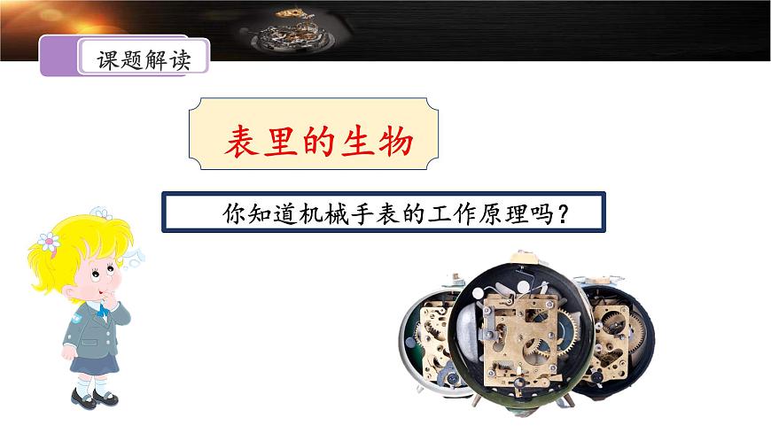 新统编版小学语文六下 5-16《表里的生物》课件（第一课时）第5页